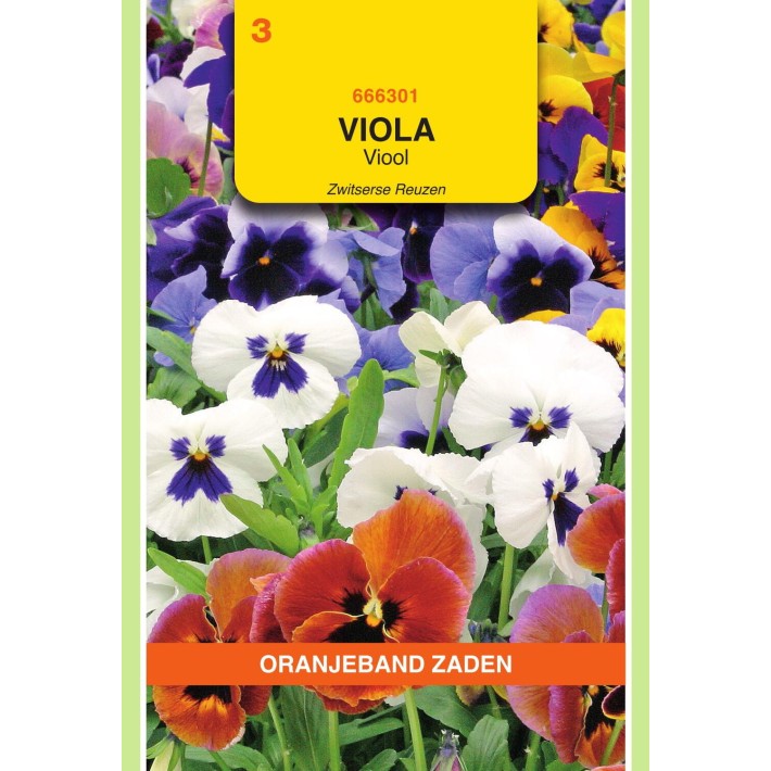 Oranjeband® Viola Wittr. Swiss Giants Impr. Mixed