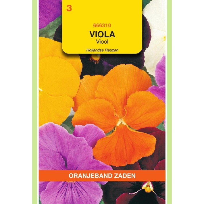 Oranjeband® Viola Wittr. Clear Crystals Mixed