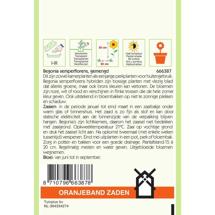 Oranjeband® Begonia Semperflorens Mixed