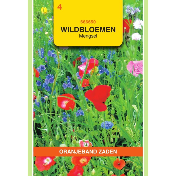 Oranjeband® Wildflowers Annuals Mixture