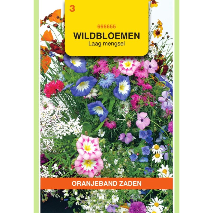 Oranjeband® Wildflowers Dwarf Annuals Mixture
