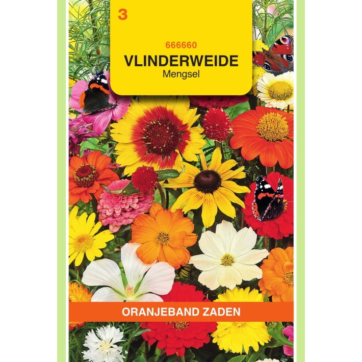 Oranjeband® Fleurs mellifères (à papillons) en mélange