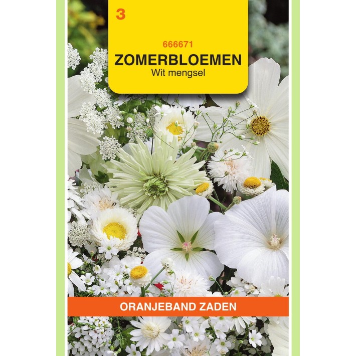 Oranjeband® Summerflowers, Mixture Of White Shades