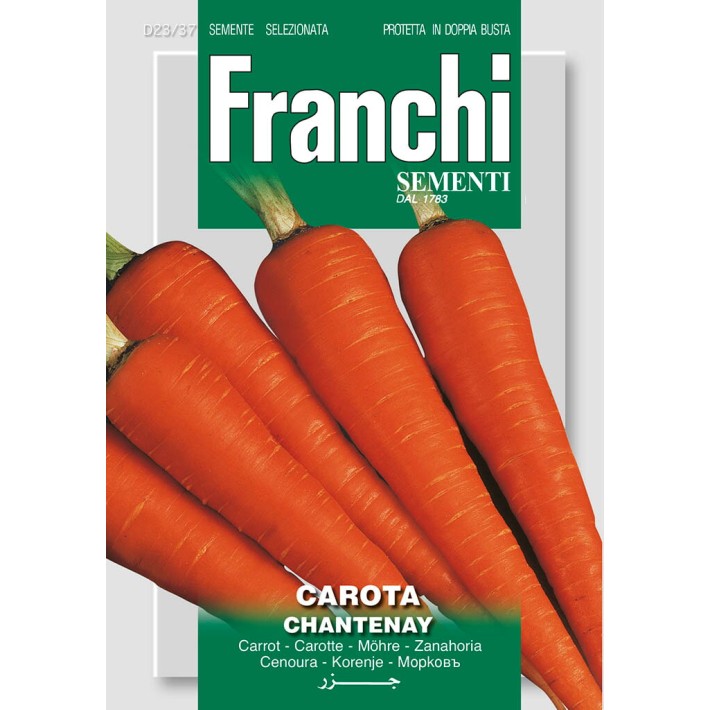Fr Carottes, Carota Chantenay 23/37
