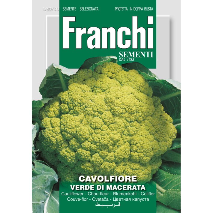 Fr Chou-fleur, Cavolfiore Romanesco Precoce 30/30