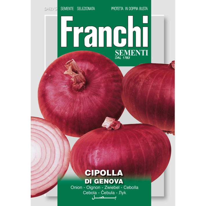 Fr Onion, Cipolla di genova 42/5