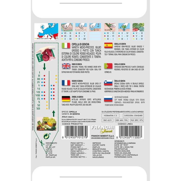 Fr Onion, Cipolla di genova 42/5