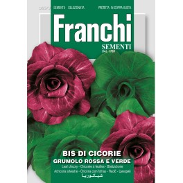 Cichorei bis di cicorie  Grumolo rosse e verde