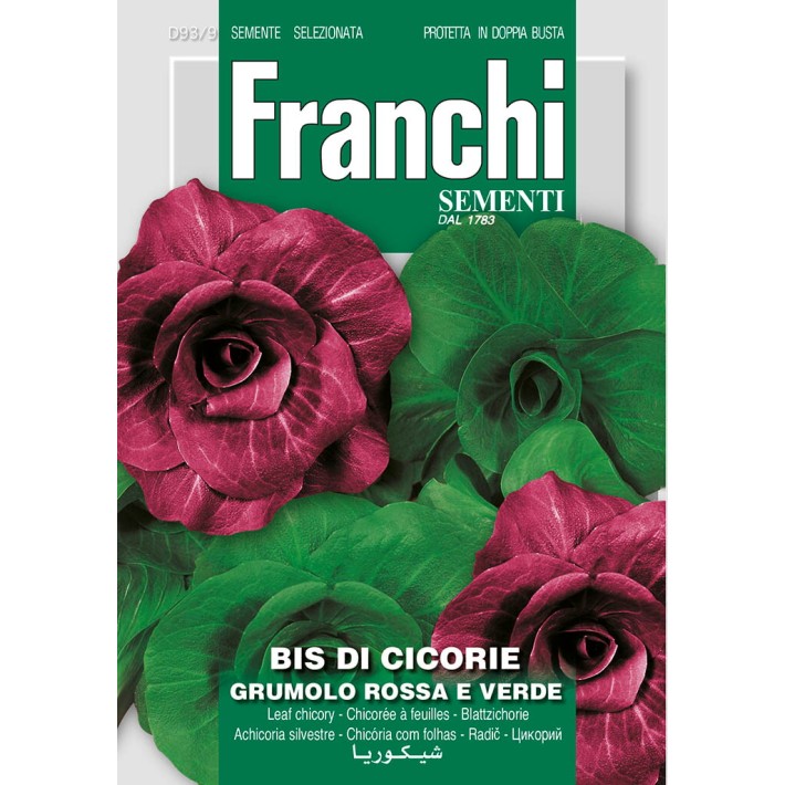 Fr Cichoree bis di cicorie  Grumolo rosse e verde 93/9