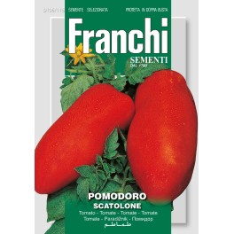 Fr Tomato, Pomodoro Scatolone 106/116