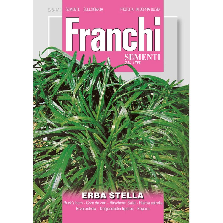 Fr Buck's Horn Erba Stella 54/1