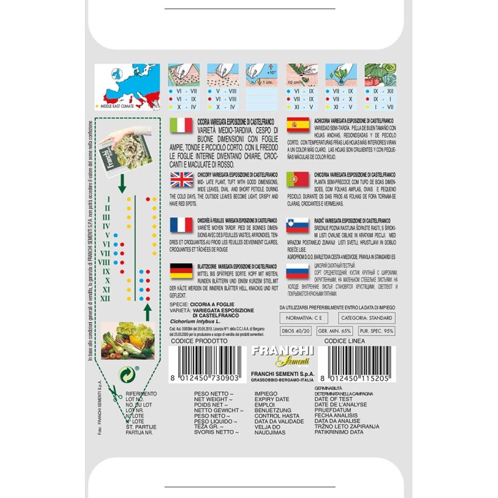 Fr Cichory, Cicoria var esp Castelfranco 40/20