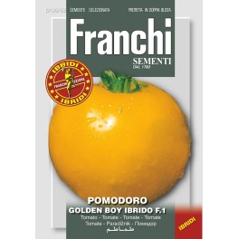 Fr Tomato, Pomodoro Tondo Giallo 106/63