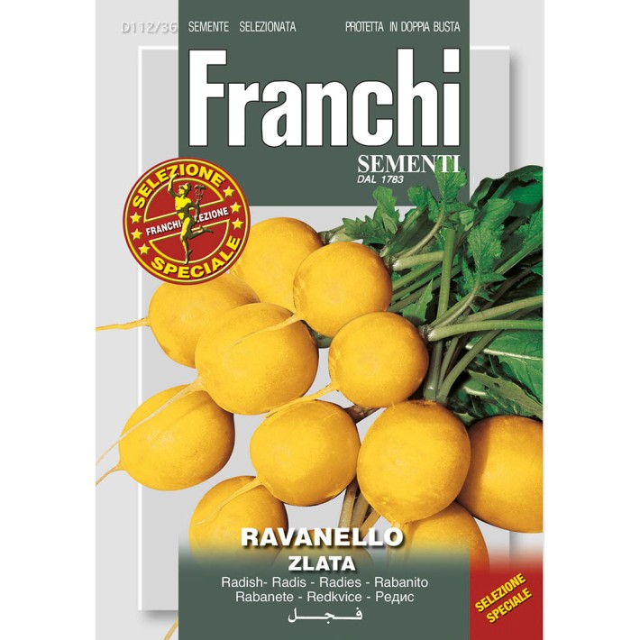 Fr Radis Ravanello Zlata 112/36