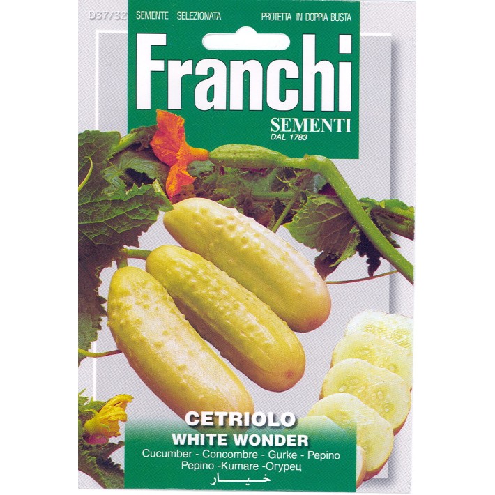 Fr Cetriolo Concombre White Wonder 37/32
