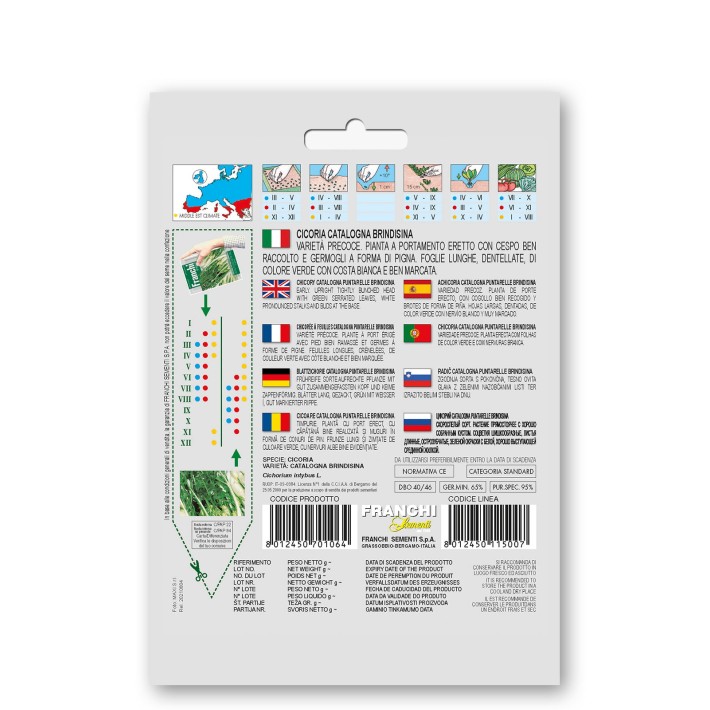 Fr Cicoria cat. Punterelle Brindisni 40/46