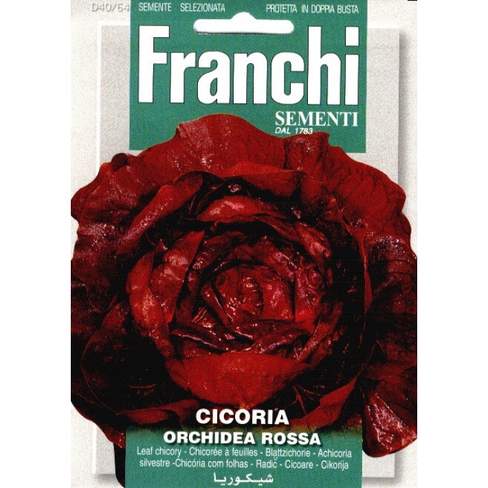 Fr Cicoria Orchidea Rossa 40/64