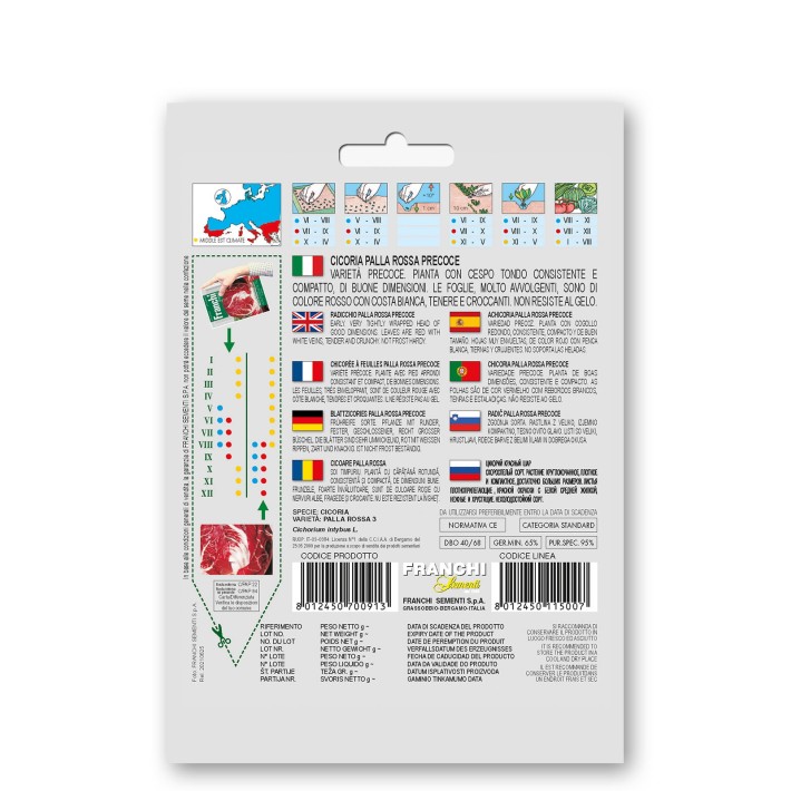 Fr Cicoria Palla Rossa 40/68