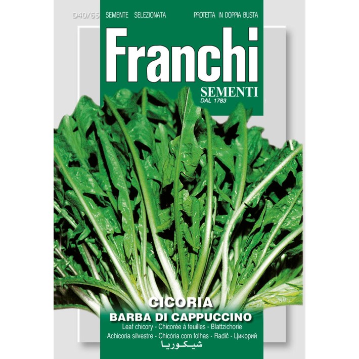 Fr Cichoree, Cicoria Barba di cappuccino 40/65