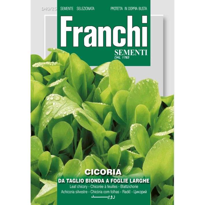 Fr Cichory, Cicoria Bonda foglie larghe 40/25