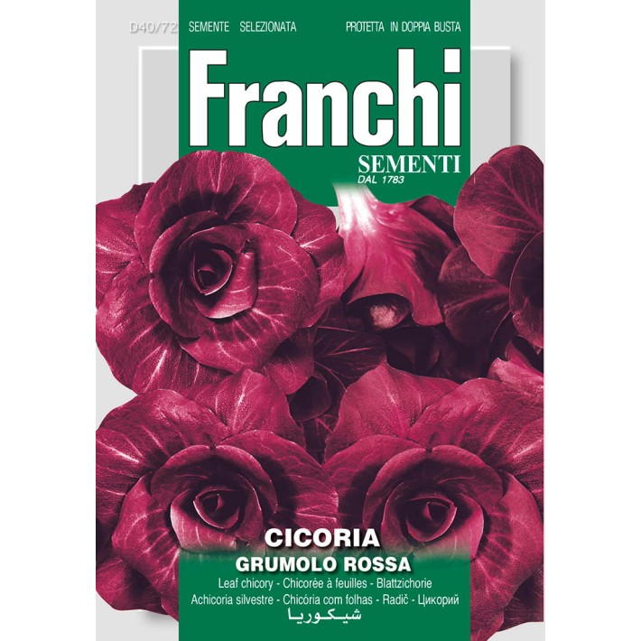 Fr Cichoree, Cicoria Rossa di Verona Tardiva 40/72