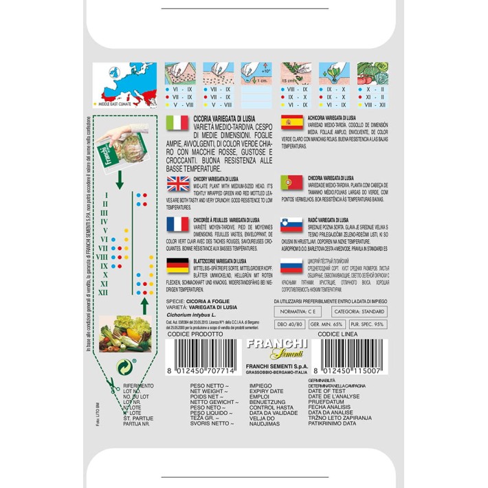 Fr Cichory, Cicoria var.di Lusia 40/80