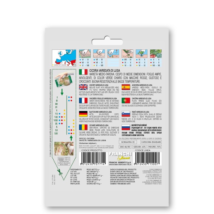 Fr Cichory, Cicoria var.di Lusia 40/80