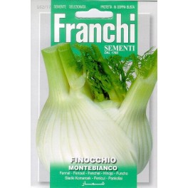Venkel, Finocchio Montebianco
