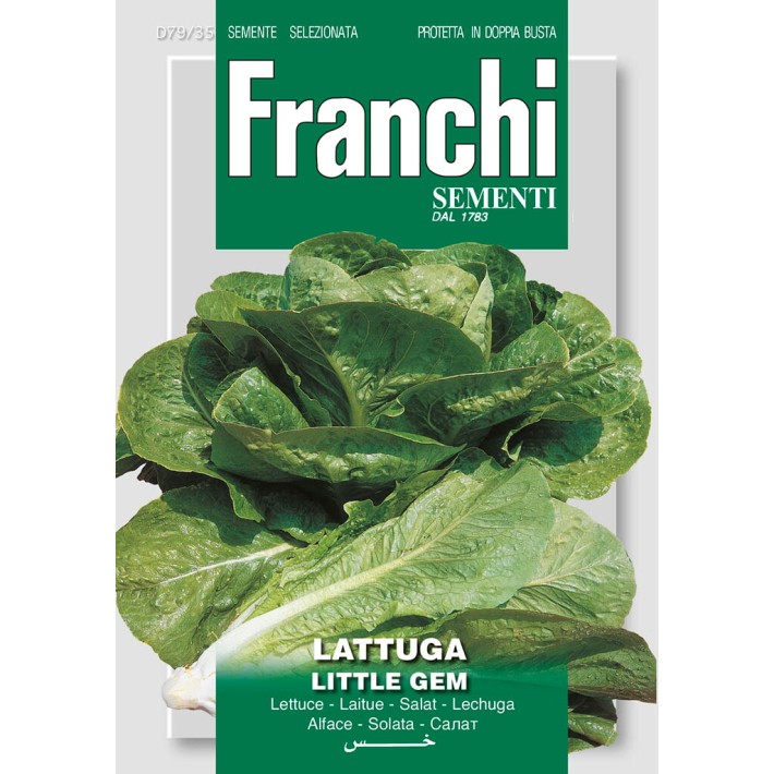 Fr Lettuce, Lattuga little gem 79/38