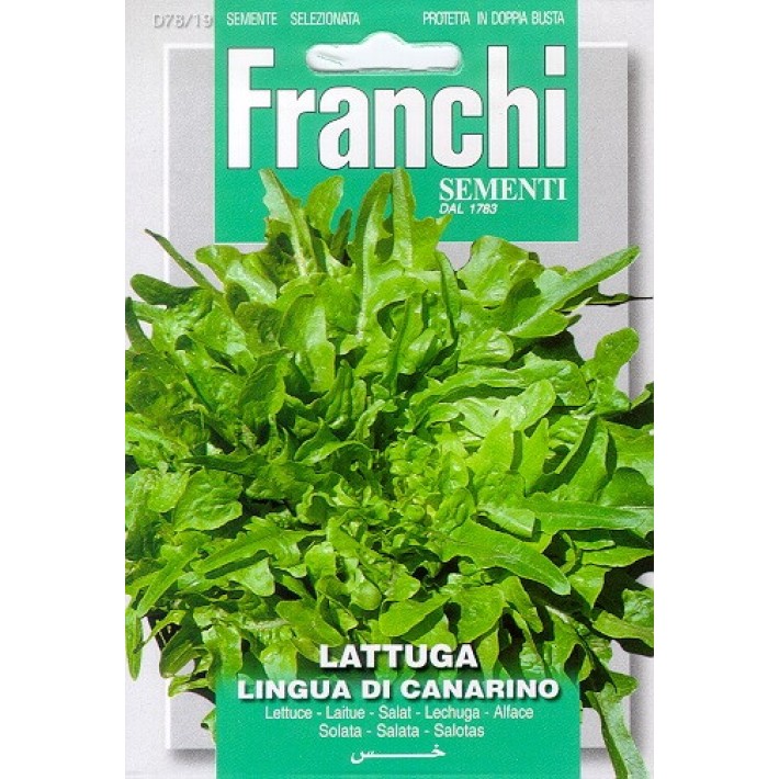Fr Lattuga Lingua Di Canarino 78/19