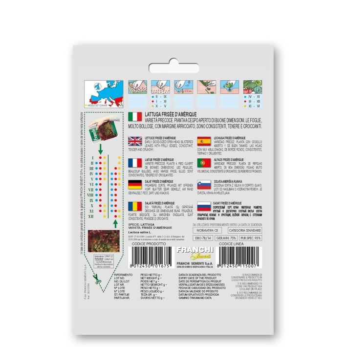 Fr Lattuga Riccia Invernale 78/14