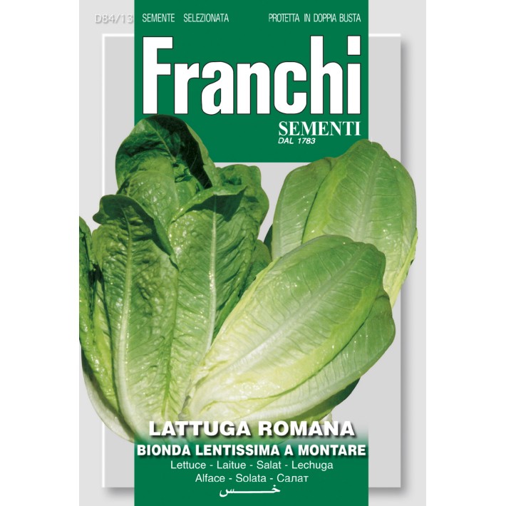 Fr Lattuga Bionda - Sla 4 jaargetijde  84/13