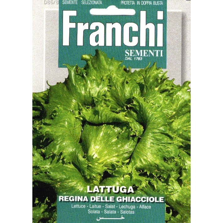 Fr Lattuga Regina Ghiacciole 86/8