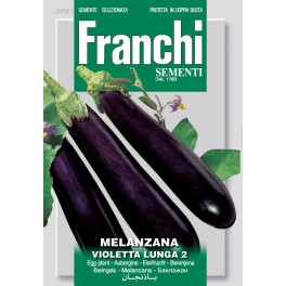 Aubergine, Melanzana Violetta Lunga 2