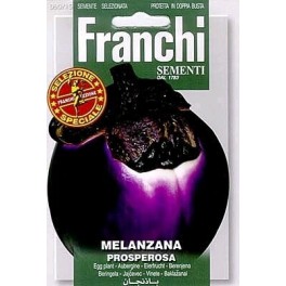 Aubergine, Melanzana Prosperosa