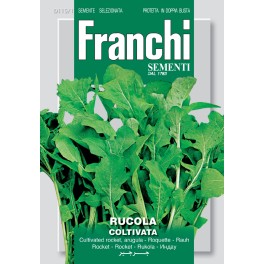Rucola Coltivata