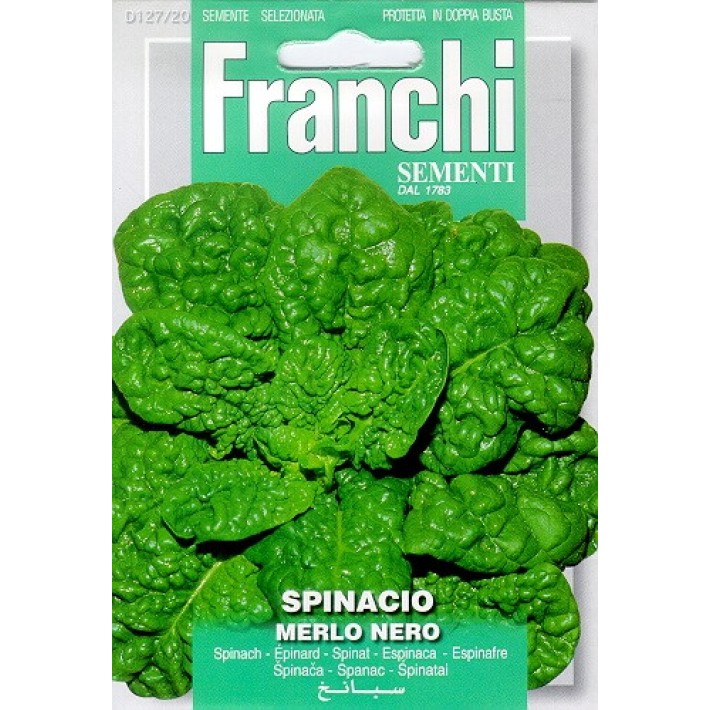 Fr Spinacio Merlo Nero 127/20