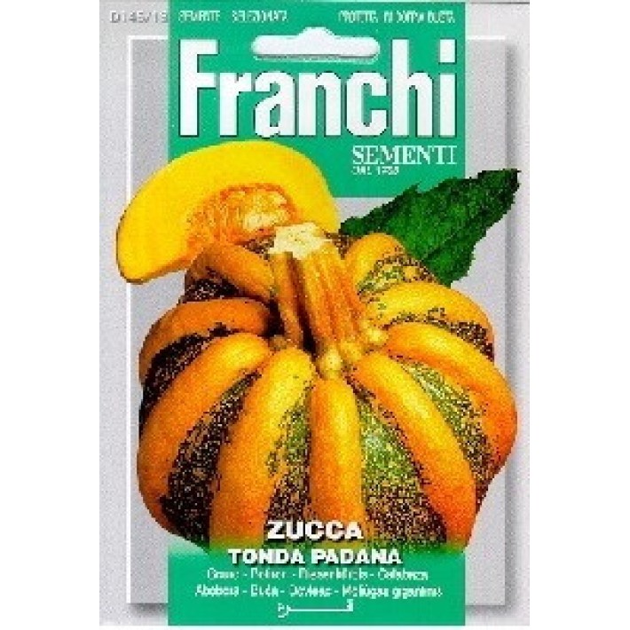 Fr Zucca Tonda Padana 145/13