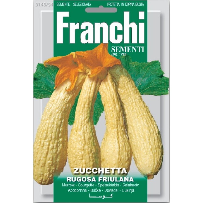 Fr Zucchetta Rugosa Friulana 146/54