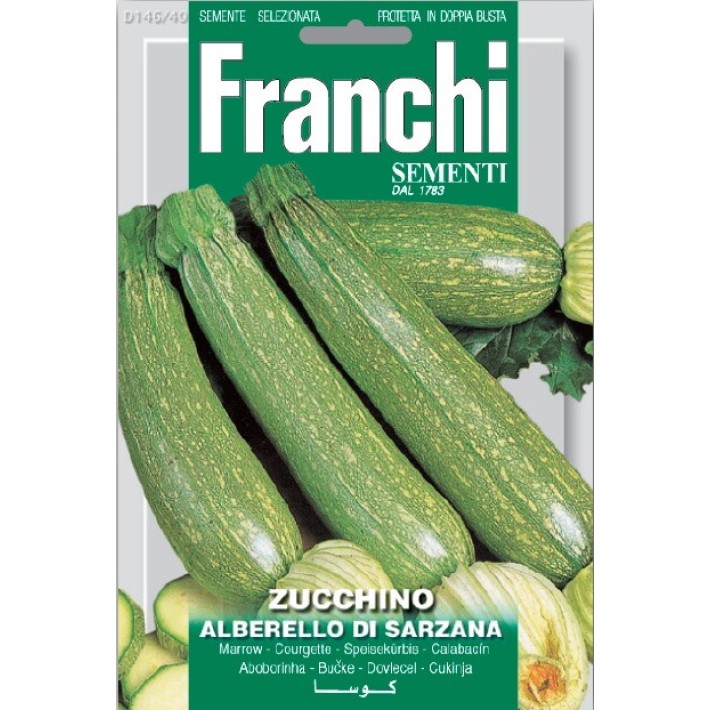 Fr Zucchino Alberello Di Sarzana - Courgette 146/40