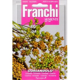 Koriander, Coriandolo