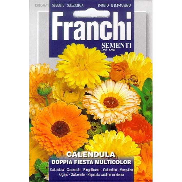 Fr Calendula Doppia Fiesta 309/1