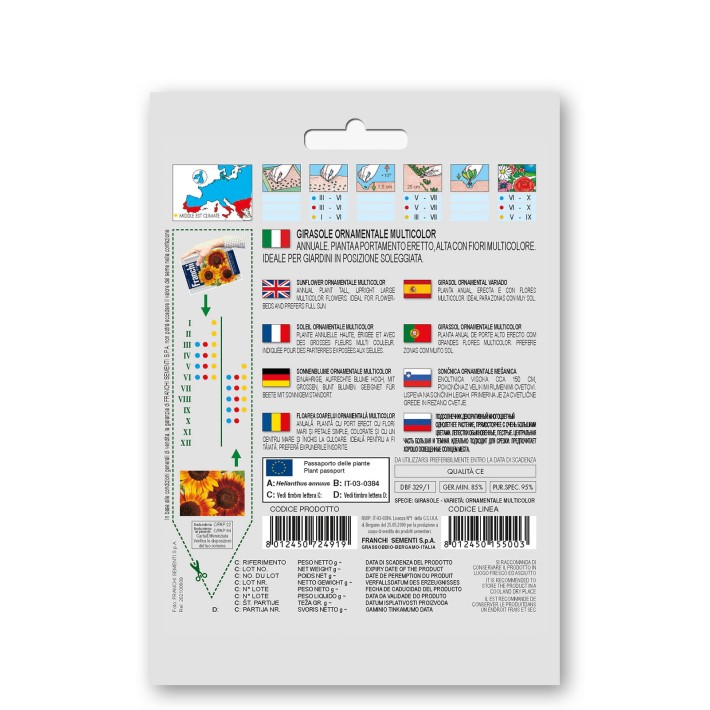 Zonnebloem, Girasole Ornamentale