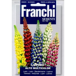 Lupine, Lupino Alto Multicolor