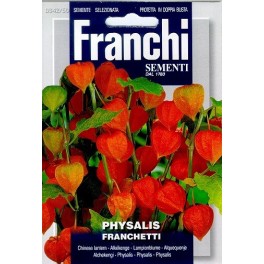 Fr Physalis franchetti - 342/50