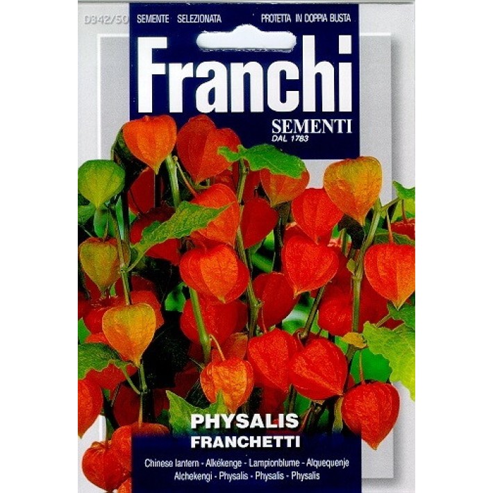 Fr Physalis franchetti - 342/50