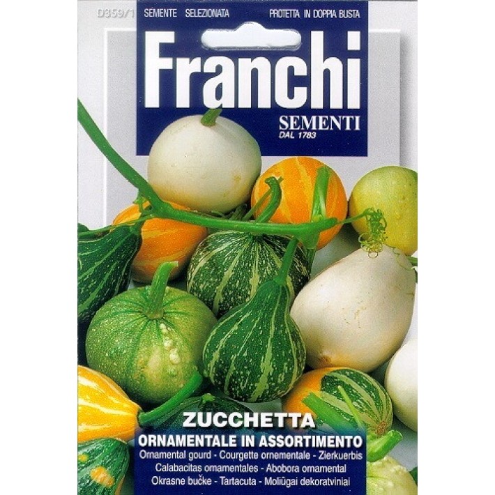 Fr Zucchetta Ornamentale 359/1