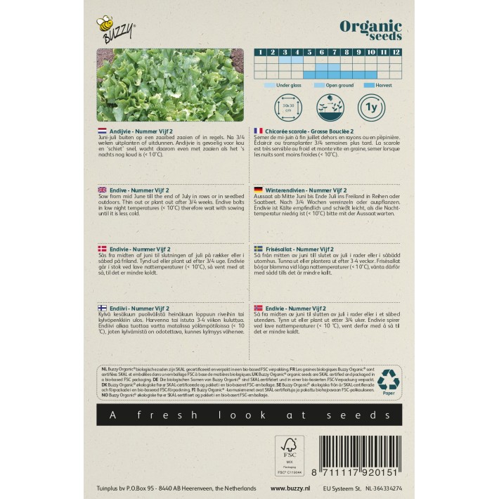 Buzzy® Organic  Chicorée scarole Grosse bouclée 2 (BIO)