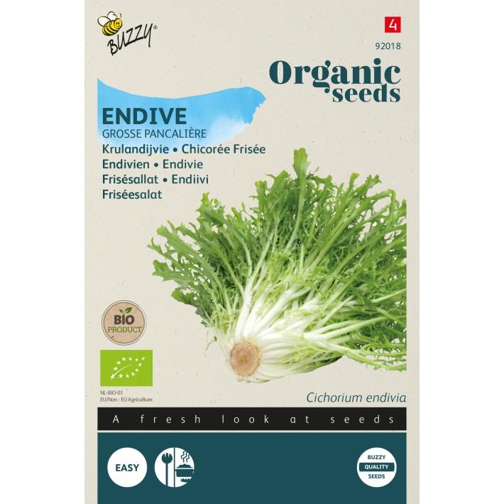 Buzzy® Organic Chicorée Frisée Grosse Pancalière (BIO)