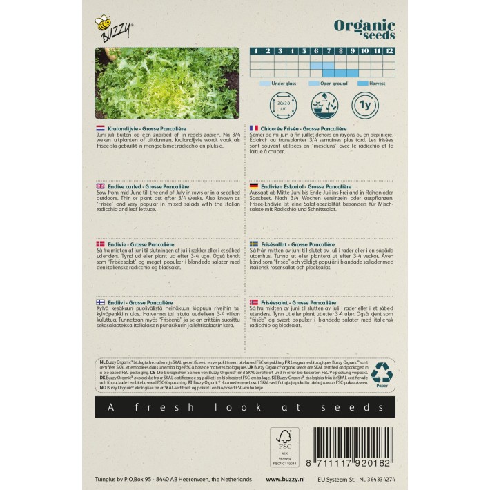 Buzzy® Organic Chicorée Frisée Grosse Pancalière (BIO)